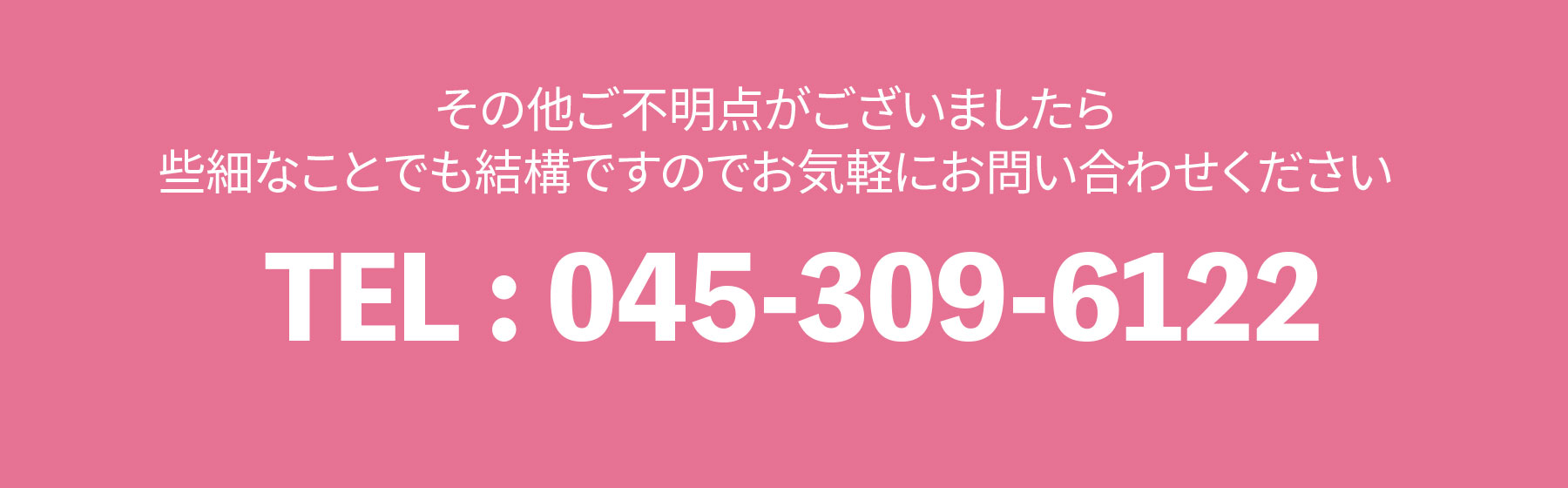手のひらサイズの伝書鳩　プチギフト画像